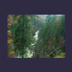 2012-10-20_Fall_AQUILA (323cb.JPG